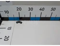 Шланг