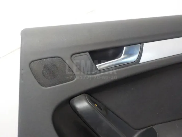 Обшивка двери задней правой для  Geely Tugella (FY11) 2020