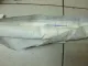 Подушка безопасности боковая (шторка)