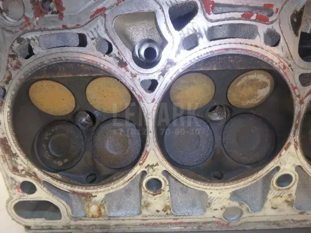 Головка блока для  Audi A4 [B6] 2000-2004