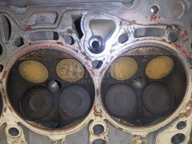 Головка блока для  Audi A4 [B6] 2000-2004