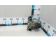 Радиатор системы EGR