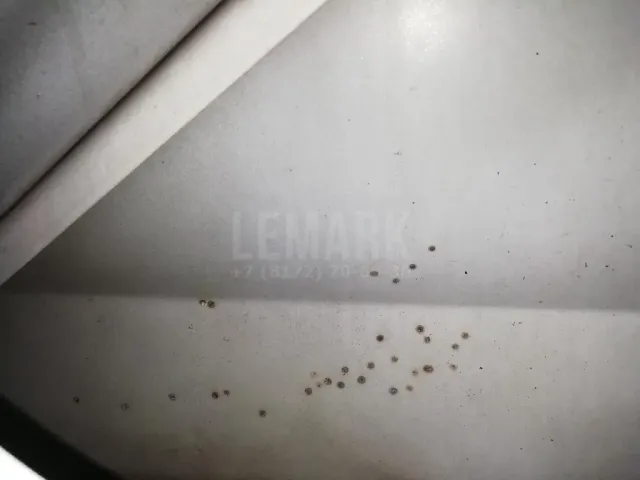 Дверь задняя левая