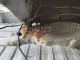 Кузовной элемент