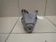 Кронштейн двигателя левый для  Ford S-MAX 2006-2015