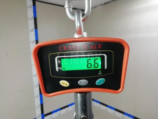 Торпедо