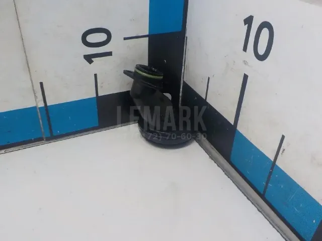 Горловина маслозаливная
