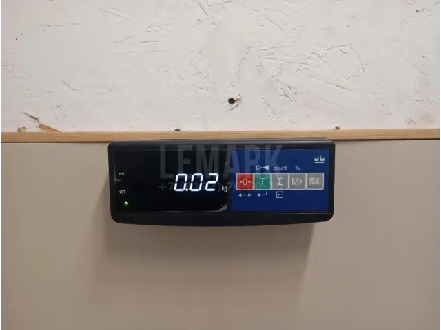 Плафон салонный