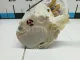 Насос топливный электрический для  Great Wall Deer G1 2005-2013