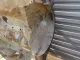 Кузовной элемент для  DAF 95 1987-1998