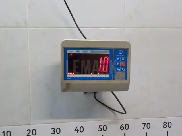 Юбка задняя
