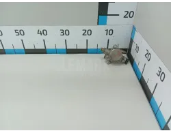 Насос (ТНВД) бензиновый