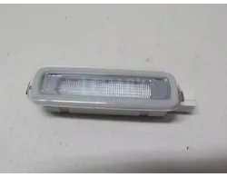 Плафон салонный