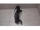 Абсорбер (фильтр угольный)