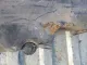 Панель задняя
