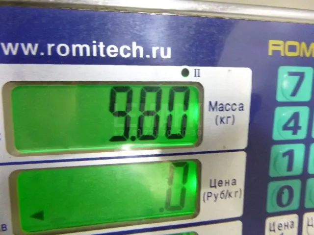 Шина