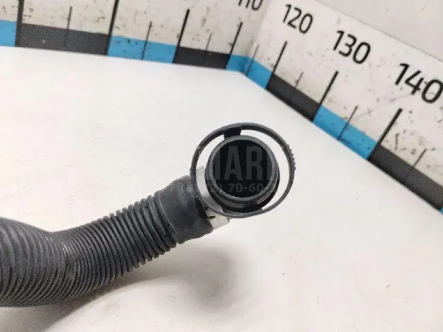 Шланг