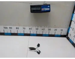 Камера заднего вида