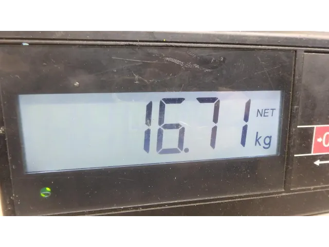 Торпедо