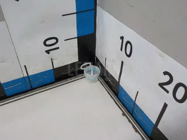 Фильтр сетчатый