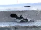 Кузовной элемент для  Ford Fiesta 2008-2019