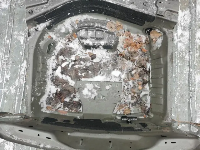 Ниша запасного колеса