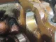 Головка блока для  BMW X1 E84 2009-2015