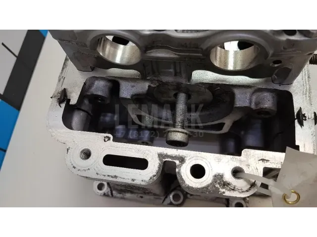 Головка блока для  Ford Fiesta 2008-2019