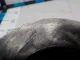 Поршень