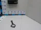 Шатун