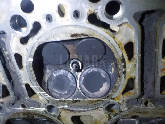Головка блока для  Citroen Jumper 244 2002-2006