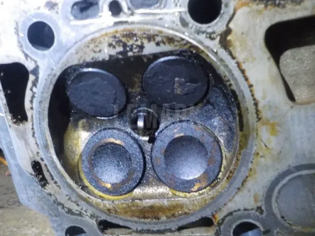 Головка блока для  Citroen Jumper 244 2002-2006