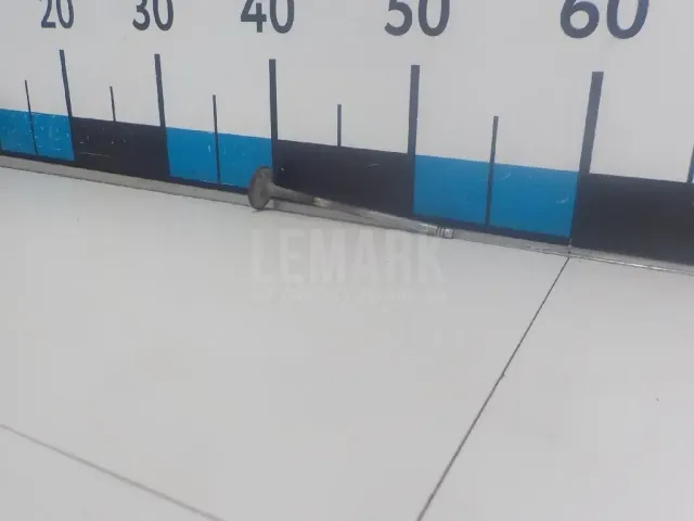 Клапан выпускной