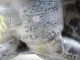 Фланец для  Audi A4 [B7] 2005-2007