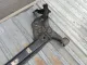 Балка задняя для  Ford Focus I 1998-2005