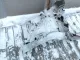 Лонжерон передний правый