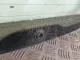 Стекло двери багажника