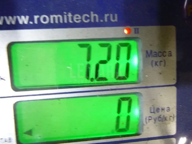 Катализатор