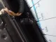 Дверь багажника со стеклом для  Ford Focus IV 2018