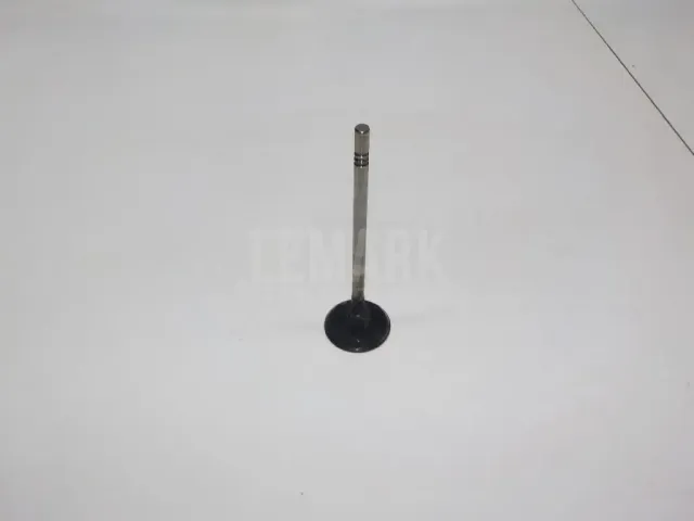 Клапан впускной