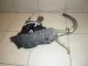 Кулиса КПП для  Ford Escape EUR 2007-2009