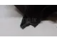 Бачок расширительный