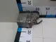 Отопитель автономный