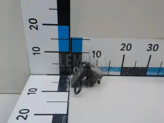 Петля двери задней левой нижняя