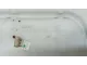 Бачок омывателя лобового стекла
