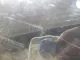 Спойлер (дефлектор) багажника