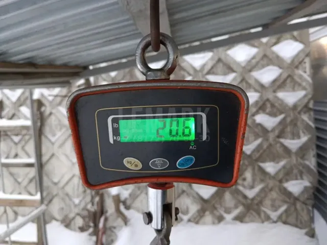 Дверь передняя правая