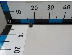 Кольцо (двигатель)