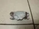 Механизм ручной подводки колодок