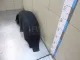 Локер задний левый